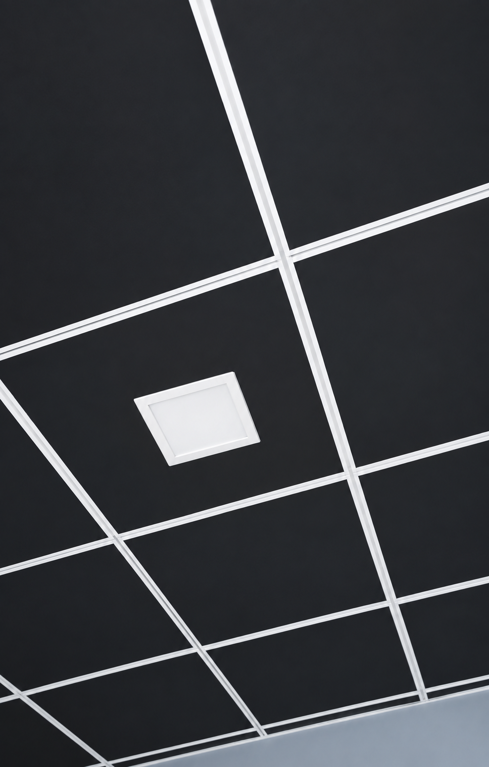Contemporary feature ceiling